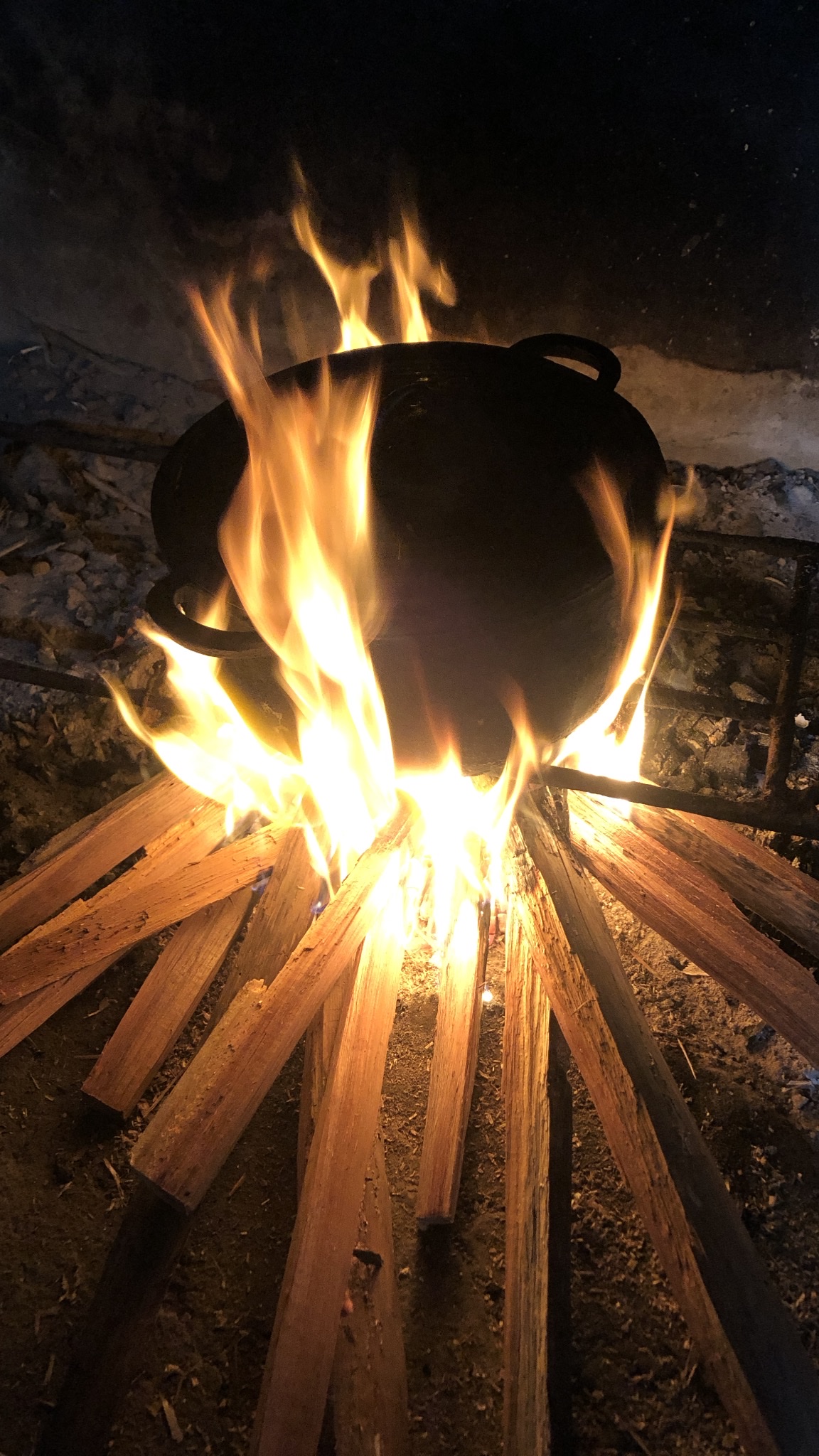 Running in misty park